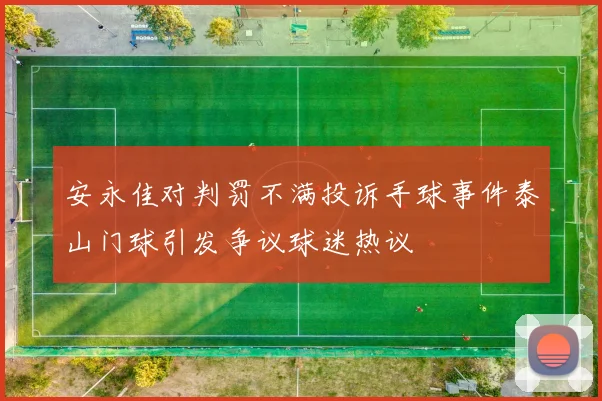 安永佳对判罚不满投诉手球事件泰山门球引发争议球迷热议